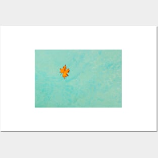 Floating Leaf In Pool Posters and Art